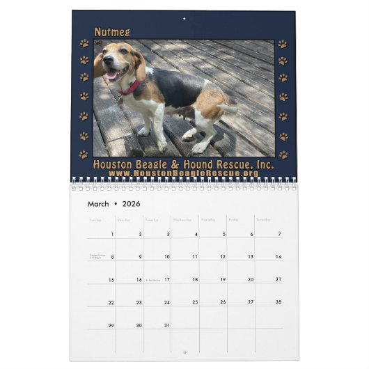 Beagles Beagles Wall calendar 2026 Kalender (Mar 2026)