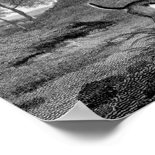 Beagles Black en White  Art Poster (Hoek)