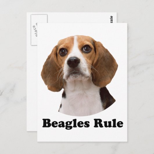 Beagles Briefkaart (Voorkant / Achterkant)