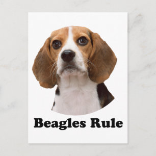 Beagles Briefkaart