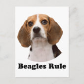 Beagles Briefkaart (Voorkant)