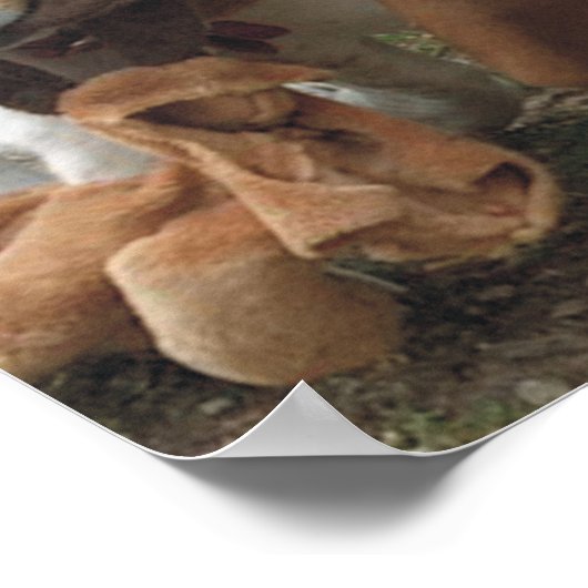 Beagles en Basset Hond Friends Poster (Hoek)