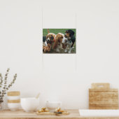 Beagles en Basset Hond Friends Poster (Keuken)