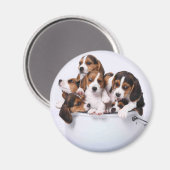Beagles in Bucket Magneet (Voorkant / Achterkant)