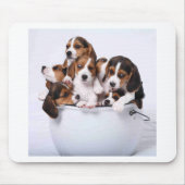 Beagles in Bucket Muismat (Voorkant)