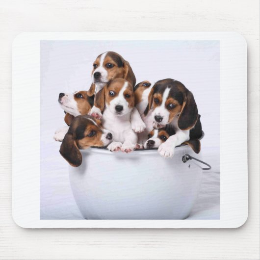 Beagles in Bucket Muismat (Voorkant)
