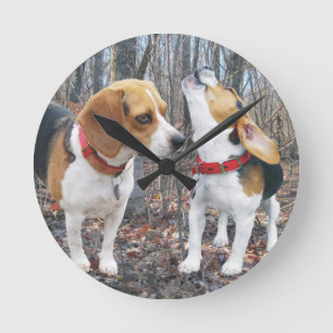 Beagles in de Bossen klok