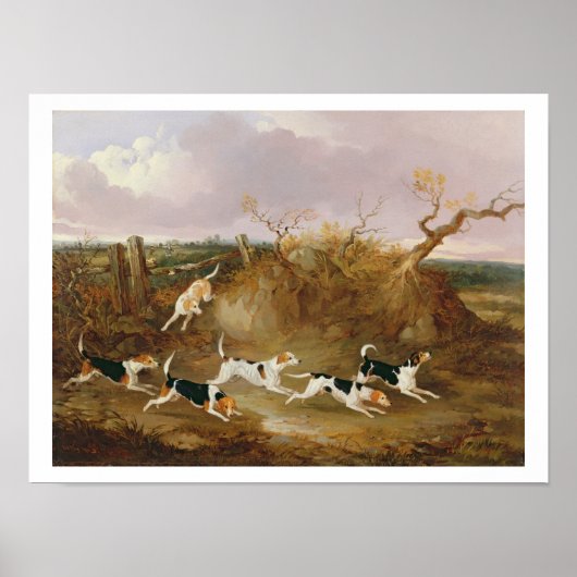 Beagles in Full Cry, 1845 (oil on canvas) Poster (Voorkant)