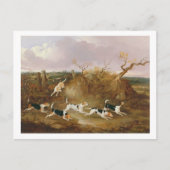 Beagles in volle wasmachine, 1845 (olie op doek) briefkaart (Voorkant)