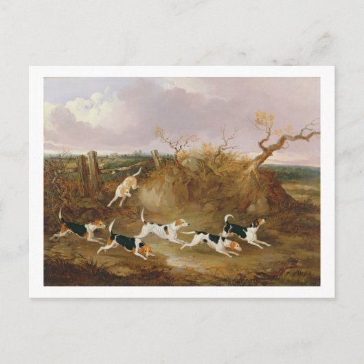 Beagles in volle wasmachine, 1845 (olie op doek) briefkaart (Voorkant)