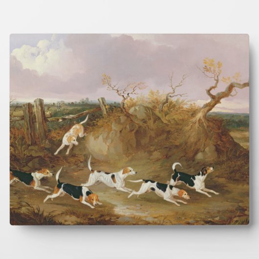 Beagles in volle wasmachine, 1845 (olie op doek) fotoplaat (Voorkant)