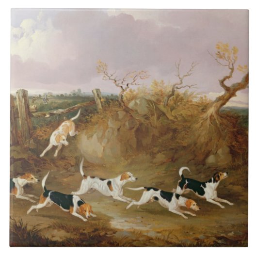 Beagles in volle wasmachine, 1845 (olie op doek) tegeltje (Voorkant)