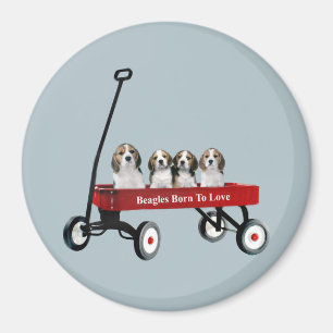 Beagles in wagon Magnet