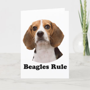Beagles Kaart