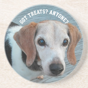 Beagles Love Trees Funny Dog Gift Zandsteen Onderzetter