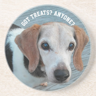Beagles Love Trees Funny Dog Gift Zandsteen Onderzetter