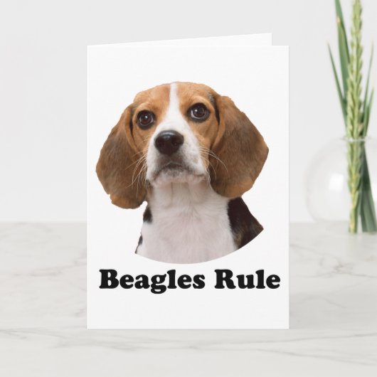 Beagles Regel Kaart (Voorkant)