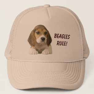 Beagles Rule Pet
