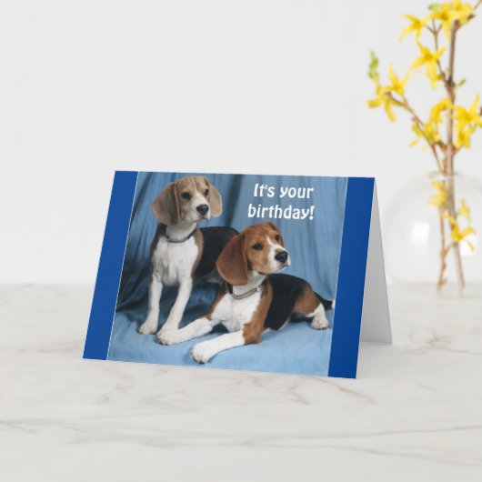 **BEAGLES** WENSEN JE EEN HEEL GELUKKIGE VERJAARDA KAART (Gele Bloem)