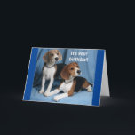**BEAGLES** WISHING A VERY HAPPY BIRTHDAY** KAART<br><div class="desc">BEAGLE WISHING A "HAPPY BIRTHDAY" IS A RARE THING DON'T YOU THINK. YOU CAN CHANGE THE VERSE AND ADD THE AGE IN SECONDS ON ALL MY CARDS AT ALL 9 STORES. AND I WANT TO SAY THANK YOU FOR STOPPING BY!</div>