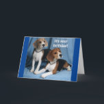 **BEAGLES** WISHING A VERY HAPPY BIRTHDAY** KAART<br><div class="desc">BEAGLE WISHING A "HAPPY BIRTHDAY" IS A RARE THING DON'T YOU THINK. YOU CAN CHANGE THE VERSE AND ADD THE AGE IN SECONDS ON ALL MY CARDS AT ALL 9 STORES. AND I WANT TO SAY THANK YOU FOR STOPPING BY!</div>