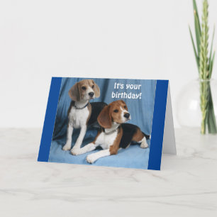 **BEAGLES** WISHING A VERY HAPPY BIRTHDAY** KAART