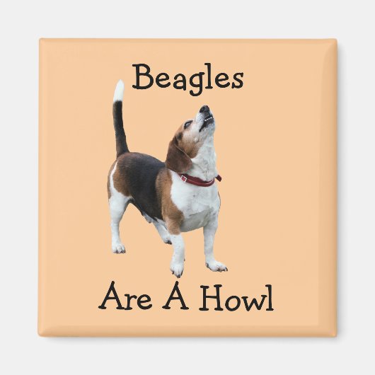 Beagles zijn een gehuil grappige hond magneet (Voorkant)