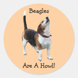 Beagles zijn een howl grappige hond-sticker ronde sticker
