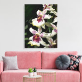 Beallara Orchid Art Wrapped Canvas - 18x24 (Insitu (Woonkamer))