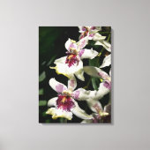 Beallara Orchid Art Wrapped Canvas - 18x24 Afdruk (Voorkant)