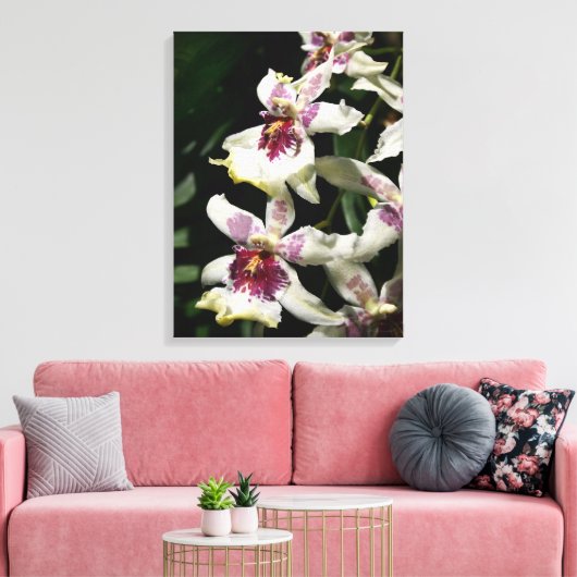 Beallara Orchid Art Wrapped Canvas - 18x24 Afdruk (Insitu (Woonkamer))