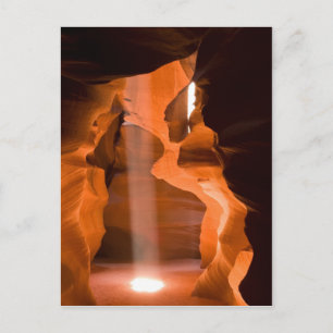 Beam me omhoog II Briefkaart