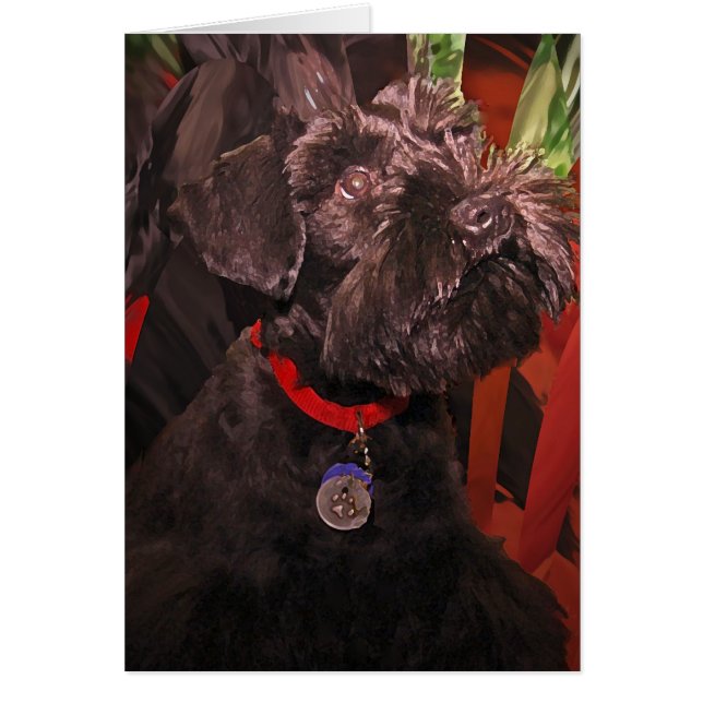 Beam me op Scottie (Voorkant)