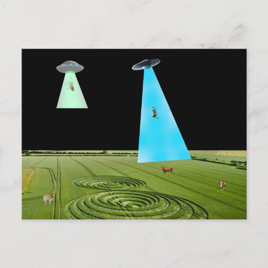 Beaming Up the Beef Postcard Briefkaart (Voorkant)