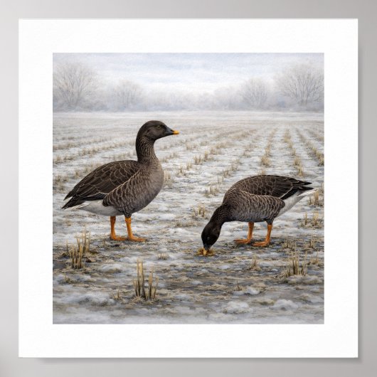 Bean Geese in a Winter Field – Japanese Wild Bird Poster (Voorkant)
