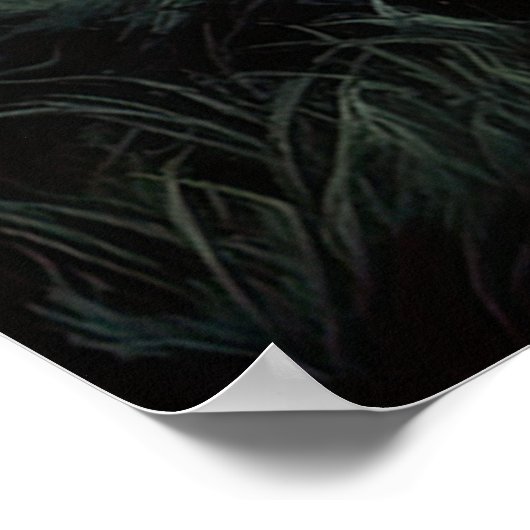 Beangstigende schoonheid van een oud moeras poster (Hoek)