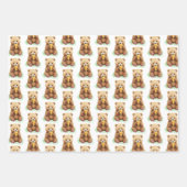  Bear and Honey Baby Shower Inpakpapier Vel (Voorkant 3)