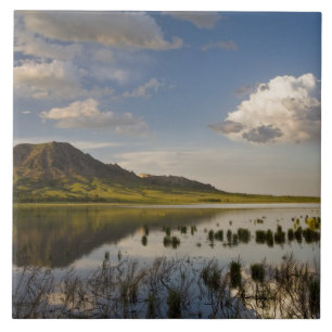 Bear Butte weerspiegelt in Bear Butte Lake nabij Tegeltje