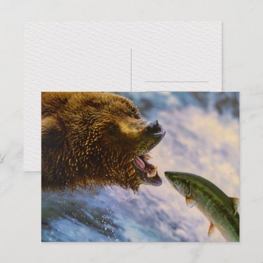 BEAR FISH WILD ANIMAL POSTCROSSING BRIEFKAART (Voorkant / Achterkant)