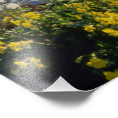 BEAR LAKE, UT, VS, aapbloem & tumbleweed, Foto Afdruk (Hoek)