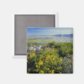 BEAR LAKE, UT, VS, aapbloem & tumbleweed, Magneet (Voorkant / Achterkant)