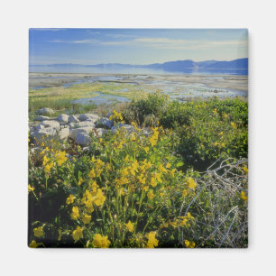 BEAR LAKE, UT, VS, aapbloem & tumbleweed, Magneet