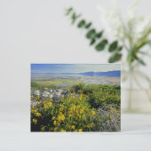 BEAR LAKE, UT, VS, apenbloem & tumbleweed, Briefkaart (Staand voorkant)