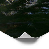 Bear Lake-weerkaatsing III Poster (Hoek)