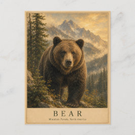 Bear Mountain Forests VINTAGE Briefkaart