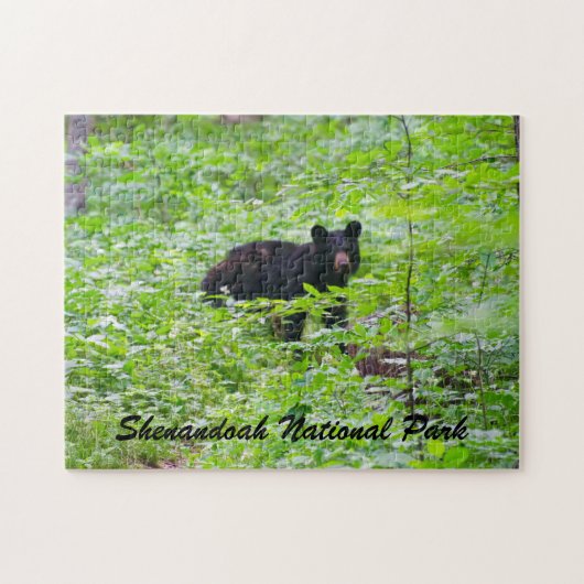 Bear - Shenandoah National Park Legpuzzel (Horizontaal)