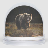 Bear Sneeuwbol (Voorkant)