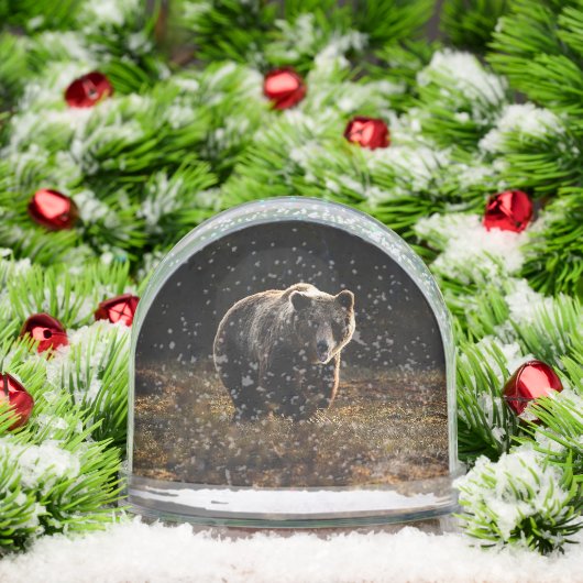 Bear Sneeuwbol (Kerstmis)