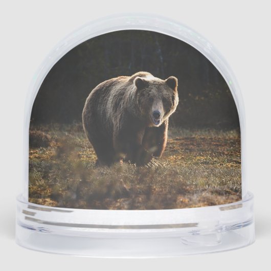 Bear Sneeuwbol (Achterkant)