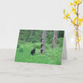 Bear & Three Cubs - Cards - Reitzner Kaart (Gele Bloem)